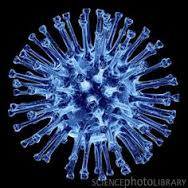 flu-virus