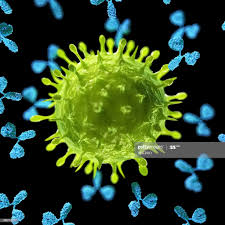 virus ab